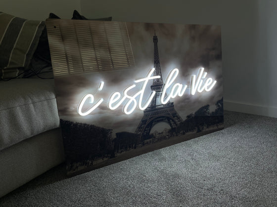 'C'est La Vie' Paris Neon Sign Next Day Item - Marvellous Neon