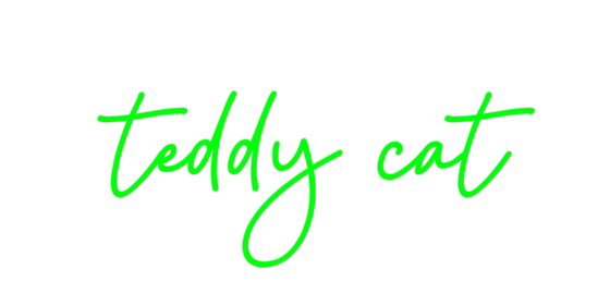 Custom Neon: teddy cat - Marvellous Neon